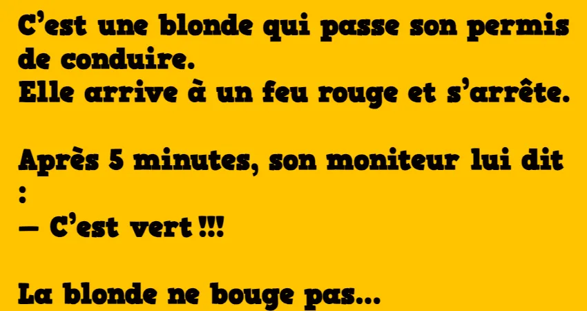 Cest une blonde qui passe son permis de conduire Grands Mères