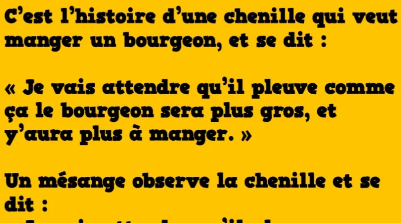 Blague la chenille le mesange