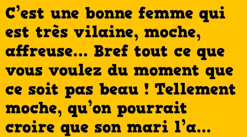 blague la femme très moche