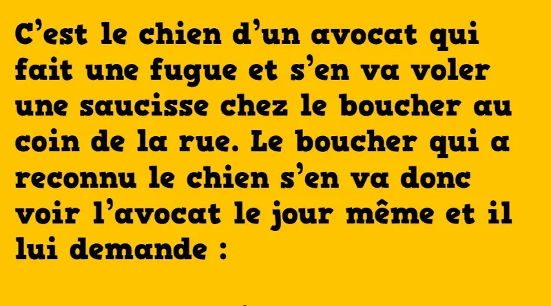 blague le chien de l'avocat