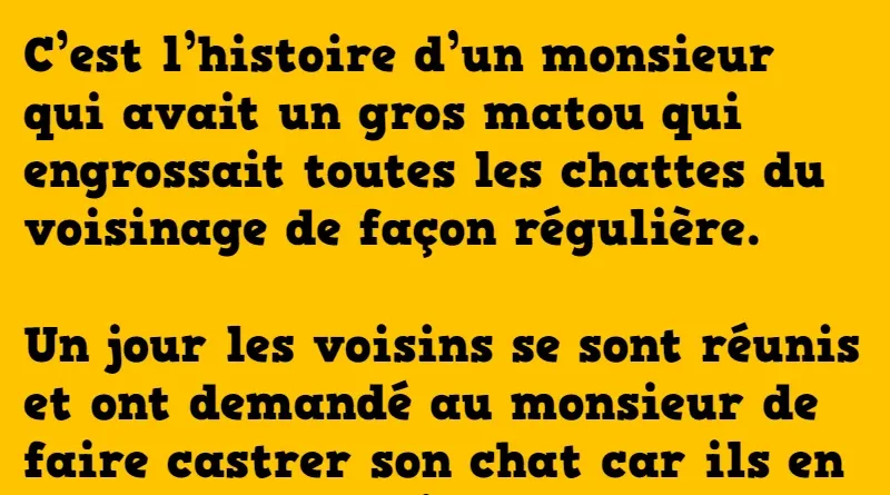 blague les consultants français