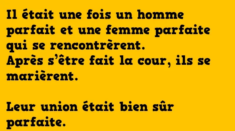 blague l'homme parfait la femme parfaite et le pere noel