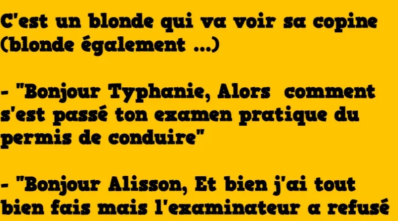 blague une blonde passe son permis