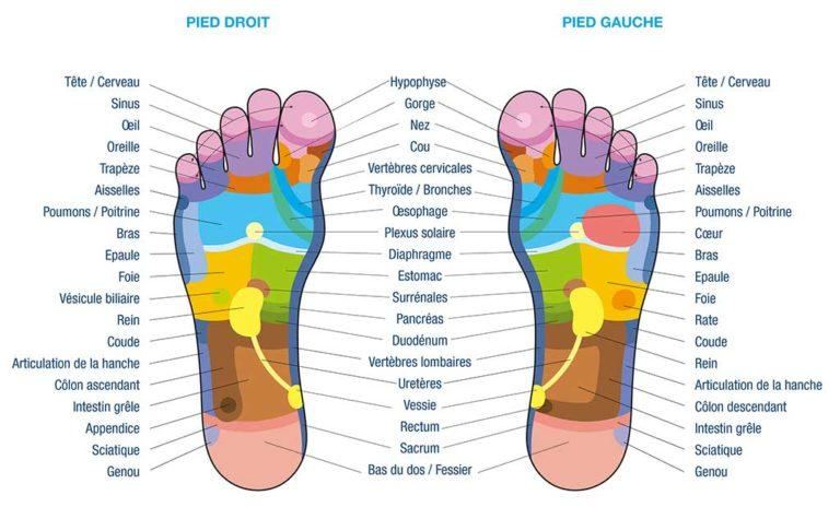 Carte-réflexologie-plantaire