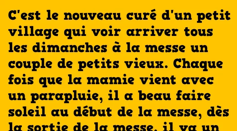 blague La vieille dame et son parapluie !