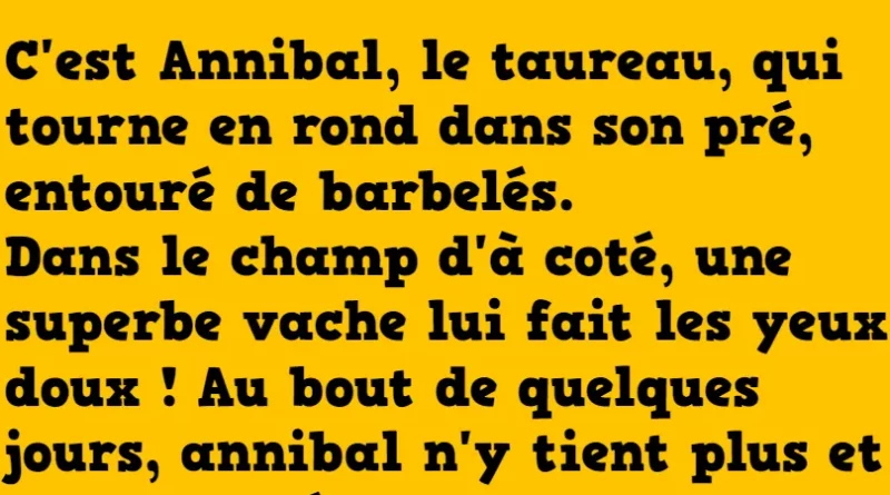 blague annibal le taureau