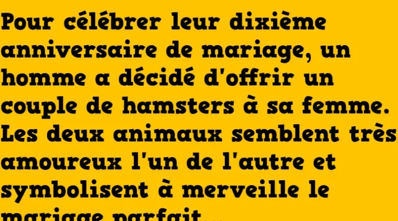 blague le couple de hamsters