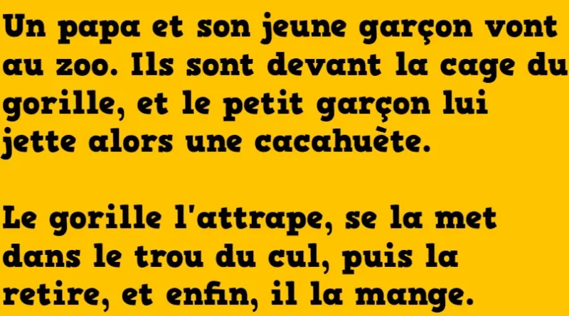 blague un papa et son fils au zoo