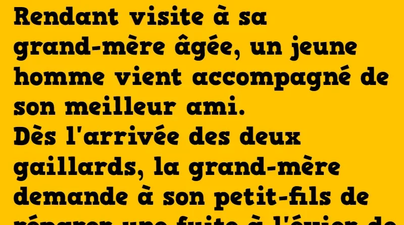 blague visite a grand-mère