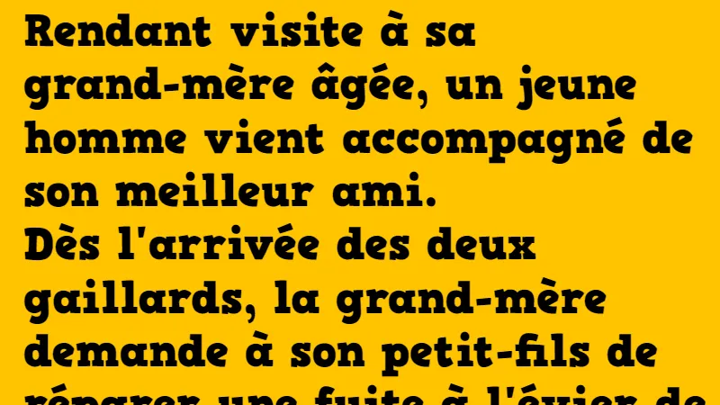 Une visite à sa grand mère Grands Mères