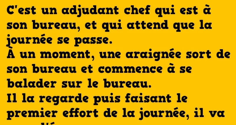 blague les vœux de l'adjudant