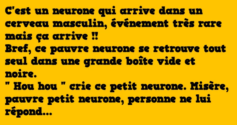 blague neurone masculin