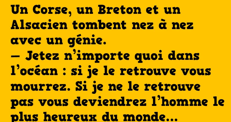 blague un corse un breton un alsacien rencontrent un génie