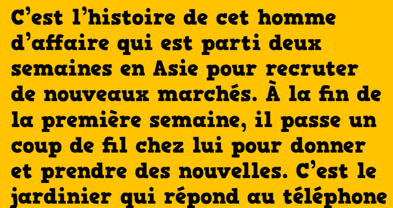 blague un homme d'affaires s'absente deux semaines