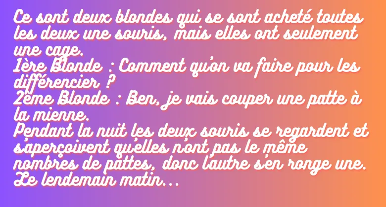 blague deux blondes deux souris