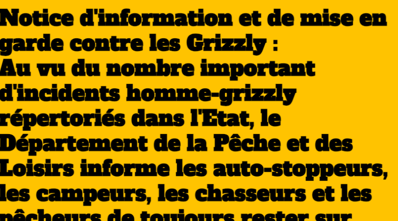 blague attention grizzly