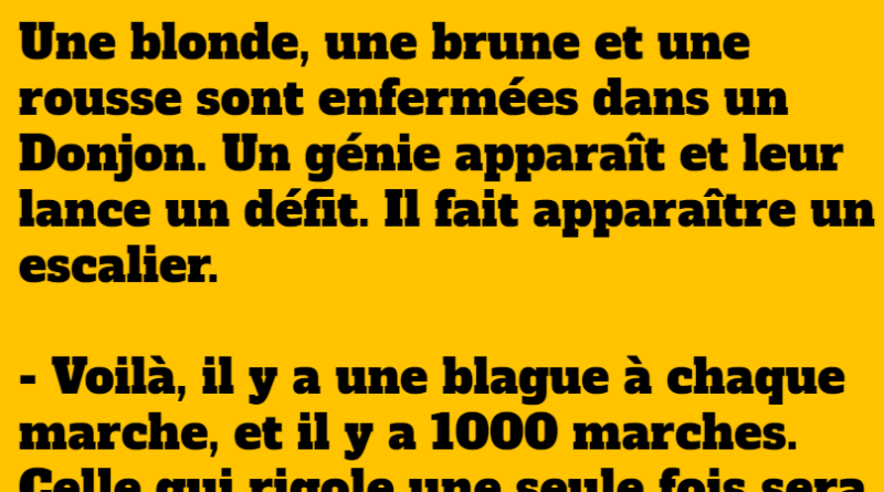 blague les 1000 marches