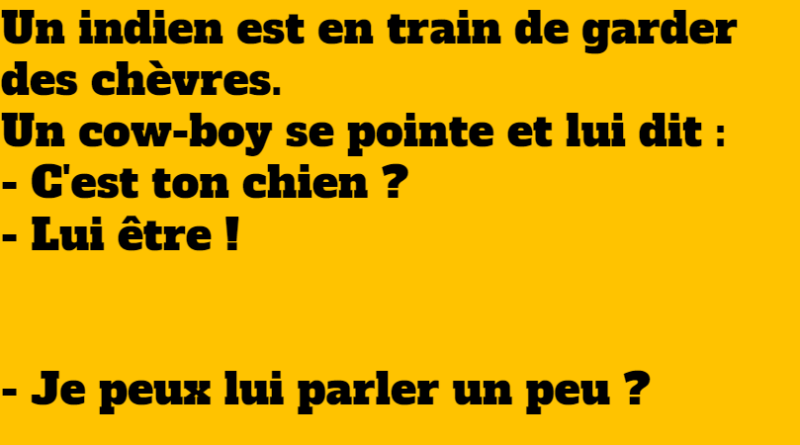 blague l'indien et le cow-boy