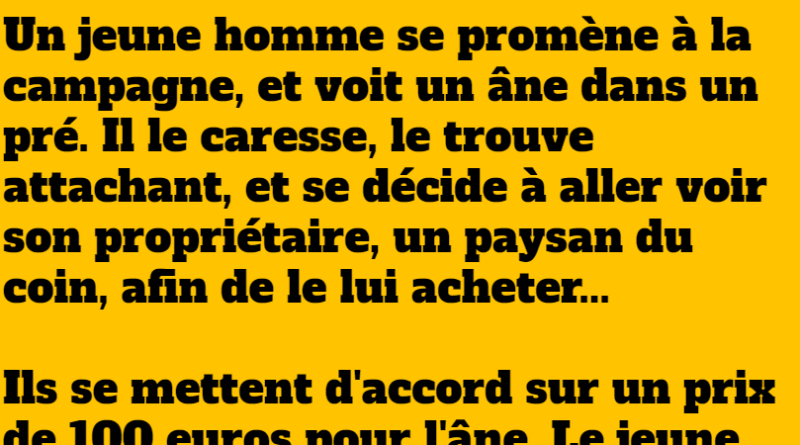 blague tombola pour les ânes