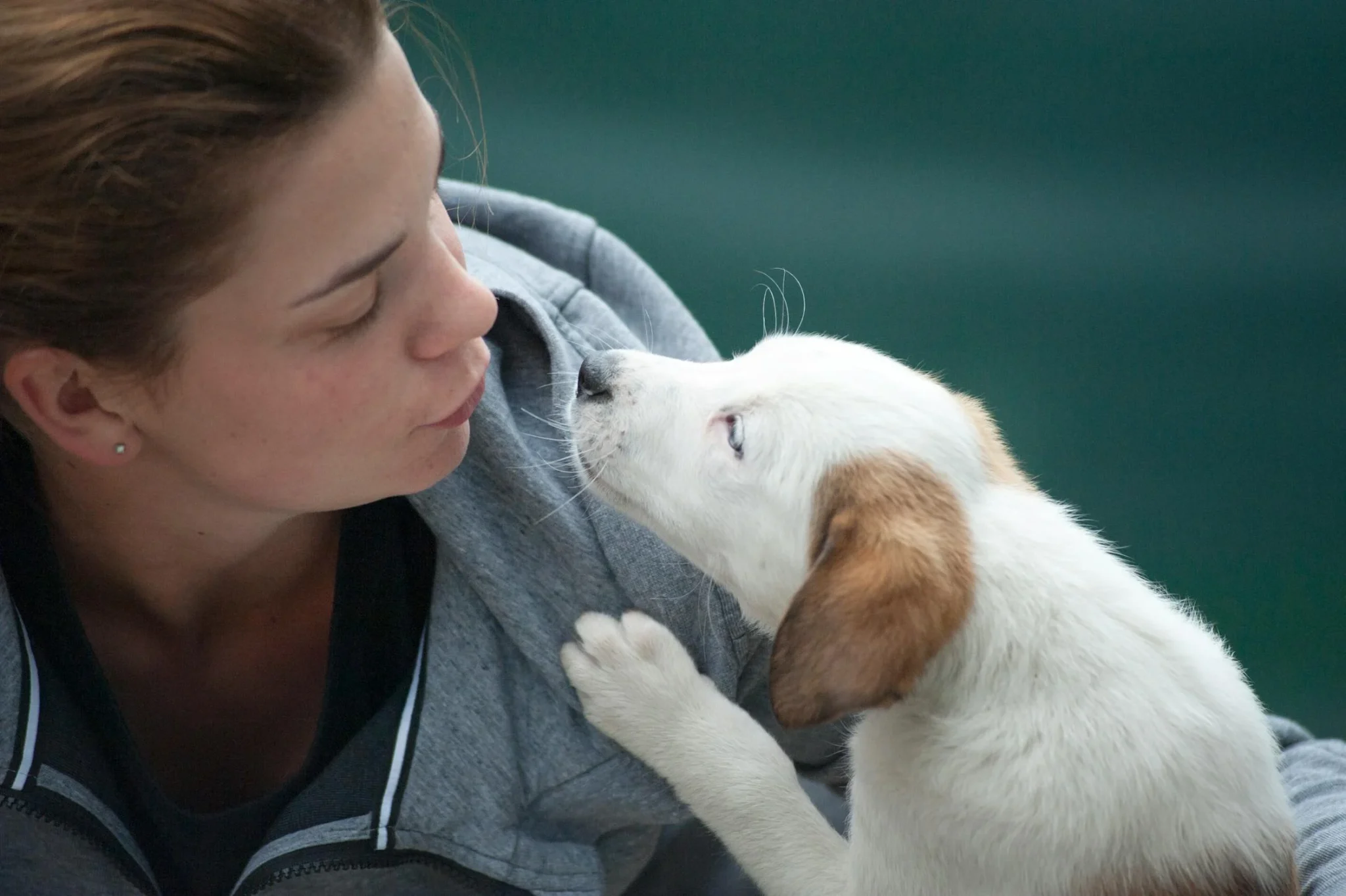 femme aime chien plus que partenaire