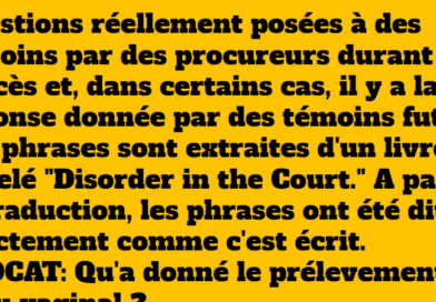 Le Bêtisier de la Justice