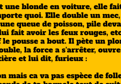 blague blonde au volant