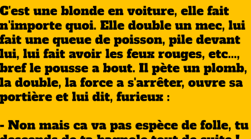 blague blonde au volant