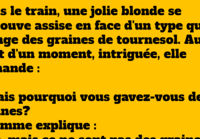 blague blonde dans un train