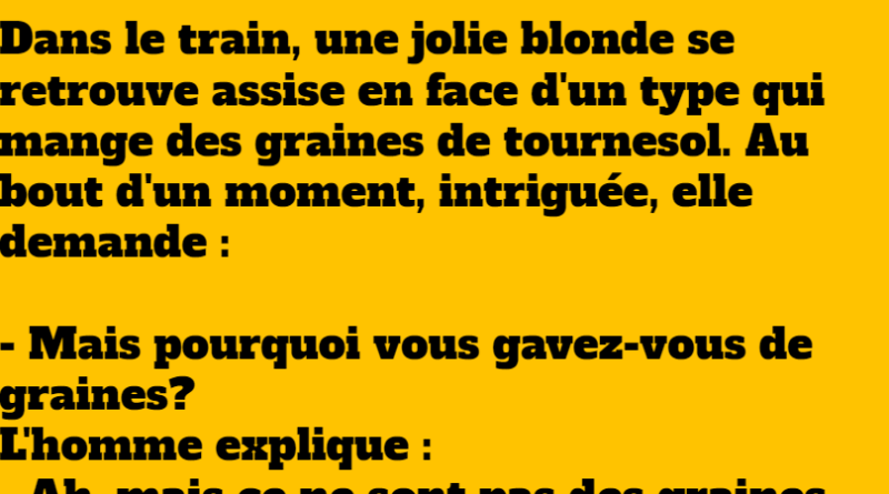 blague blonde dans un train