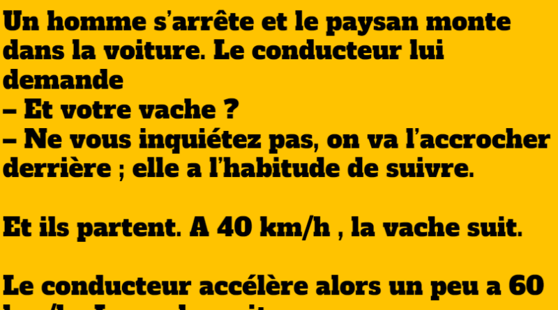 blague vache sur l'autoroute