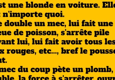 blague blonde au volant