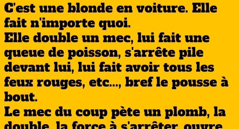 blague blonde au volant