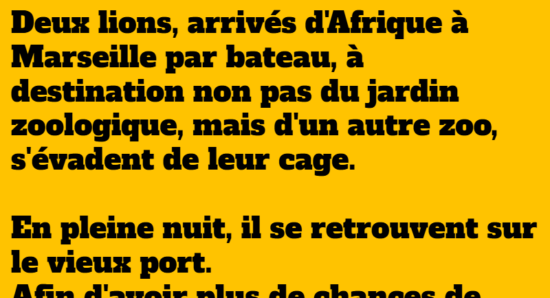 blague deux lions à Marseille