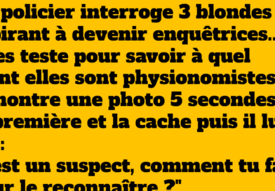 blague un enquêteur et trois blonde