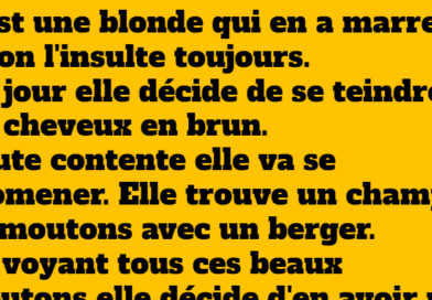 blague une blonde se déguise