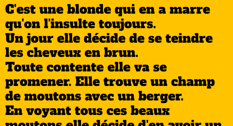 blague une blonde se déguise