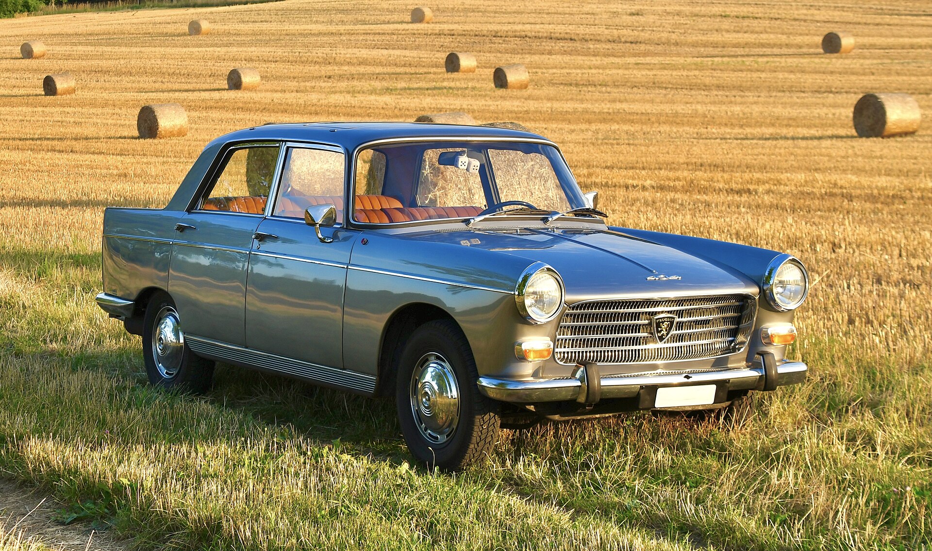 Peugeot_404_Champs