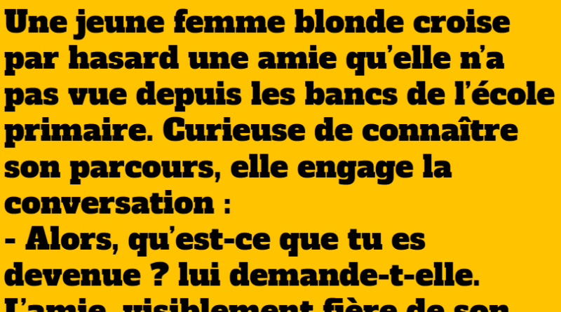 blague blonde amie d'enfance