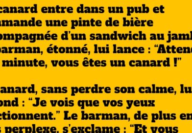 blague canard au pub