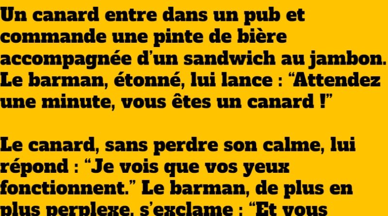 blague canard au pub