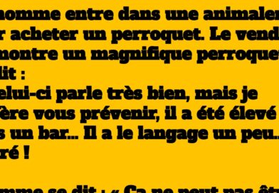 Quand le perroquet balance trop de vérités