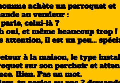 blague le perroquet voix fatiguée