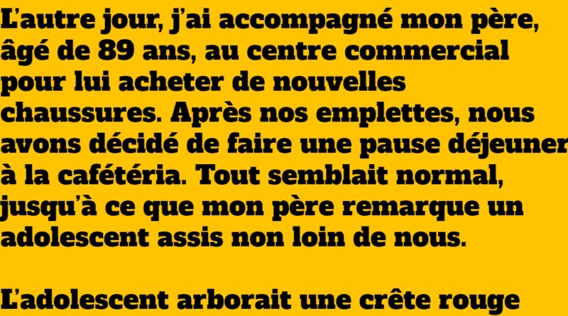 blague l'homme âgé et le punk