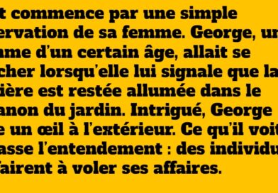 Un vol dans le jardin qui tourne au coup de maître