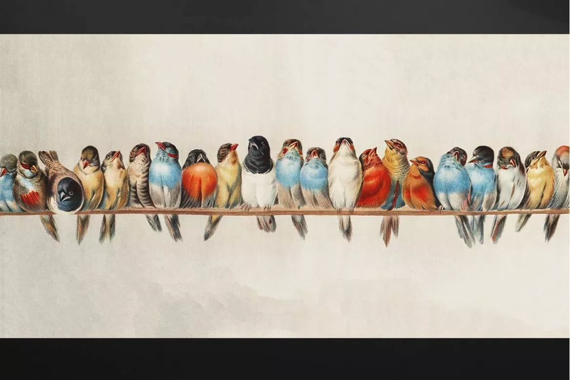 tableau-oiseaux-sur-un-fil