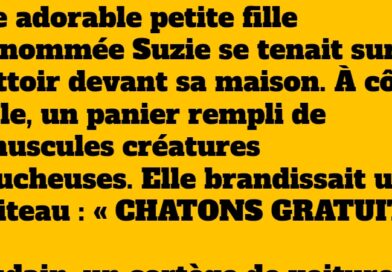 Macron, Suzie et les chatons lucides : Une histoire pleine d’humour