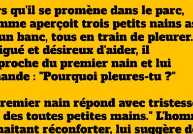 blague rencontre avec trois nains