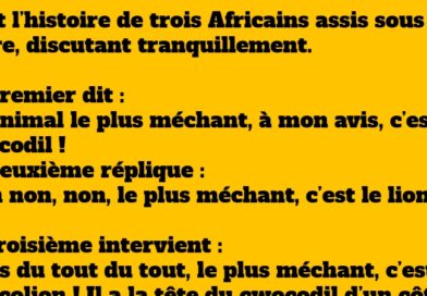 La Bête méchante : Une blague africaine hilarante sur le « Cwocolion »