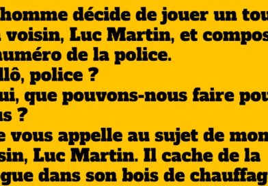 Une blague hilarante : Un voisin, la police et du bois de chauffage