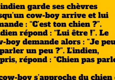 Blague : L’indien, le cow-boy et les animaux qui parlent